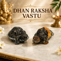 DHAN RAKSHA VASTU