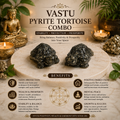VASTU PYRITE TORTOISE COMBO