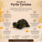 Vastu Pyrite Tortoise + Gangajal And Digital Naam Jap Counter