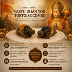 VASTU DHANYOG TORTOISE COMBO