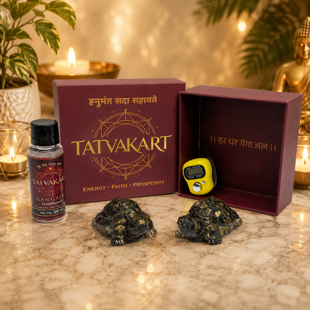 VASTU PYRITE TORTOISE COMBO