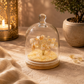 Citrine Crystal Dome Tree – Premium Glass Dome Healing Bonsai for Home & Office Decor