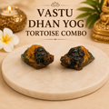 VASTU DHANYOG TORTOISE COMBO