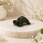 Vastu Pyrite Tortoise + Gangajal And Digital Naam Jap Counter