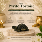 Vastu Pyrite Tortoise + Gangajal And Digital Naam Jap Counter